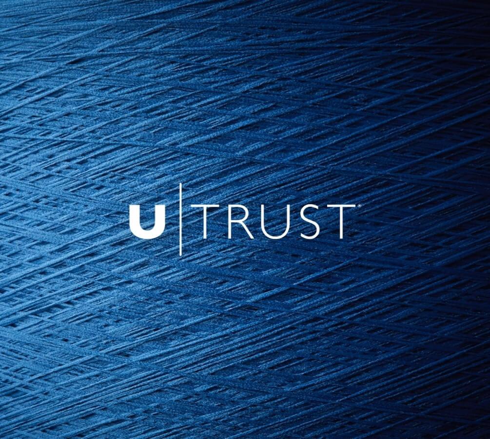 blue-nylon-u-trust-logo - aciae